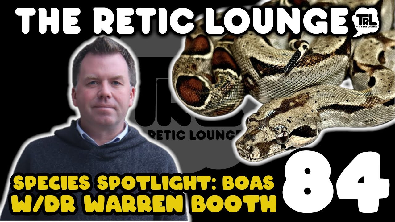 Species Spotlight: Boas w/ Dr. Warren Booth | The Retic Lounge #84