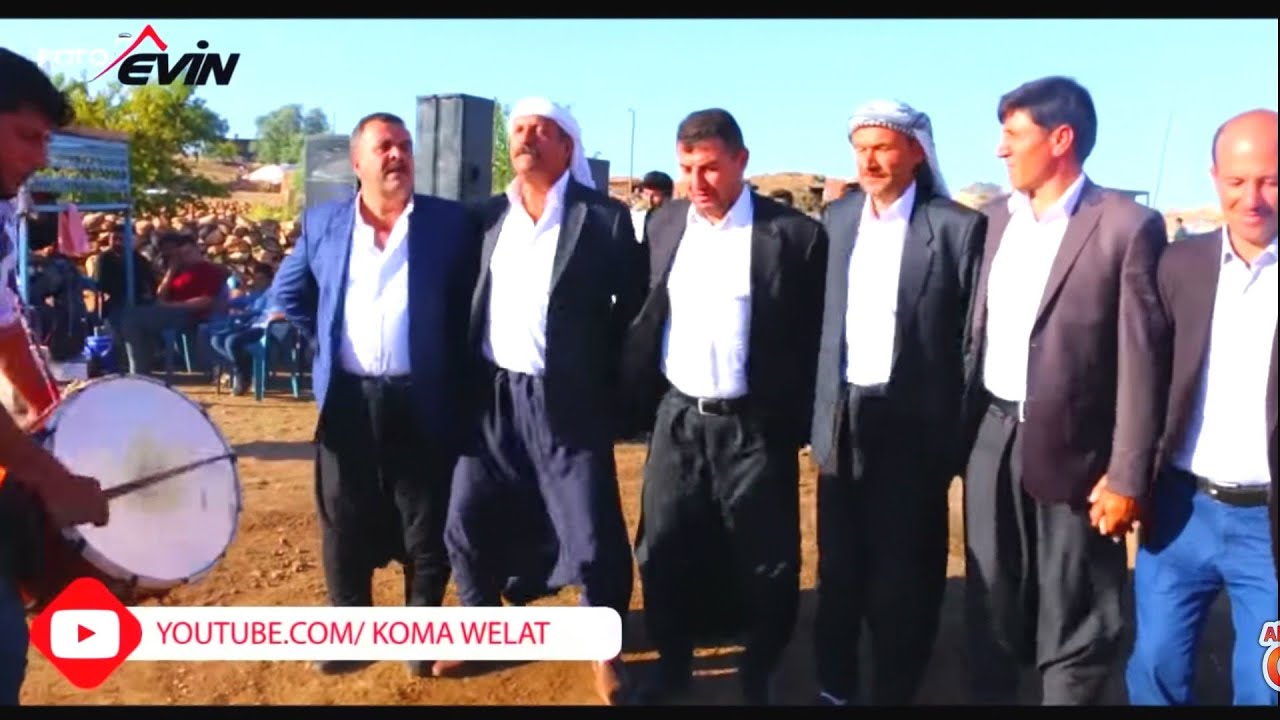 ŞEVKO HALAYIN ŞOVALYELERİ!!!
