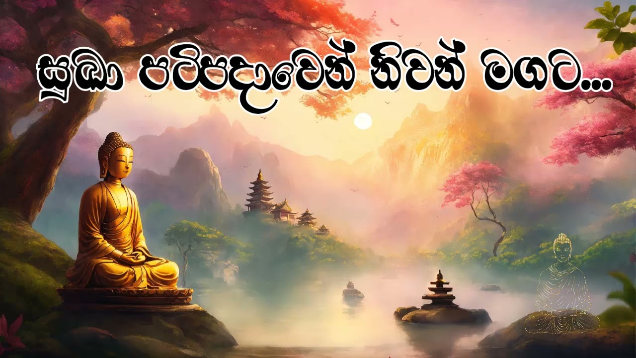 සුඛා පටිපදාවෙන් නිවන් මගට