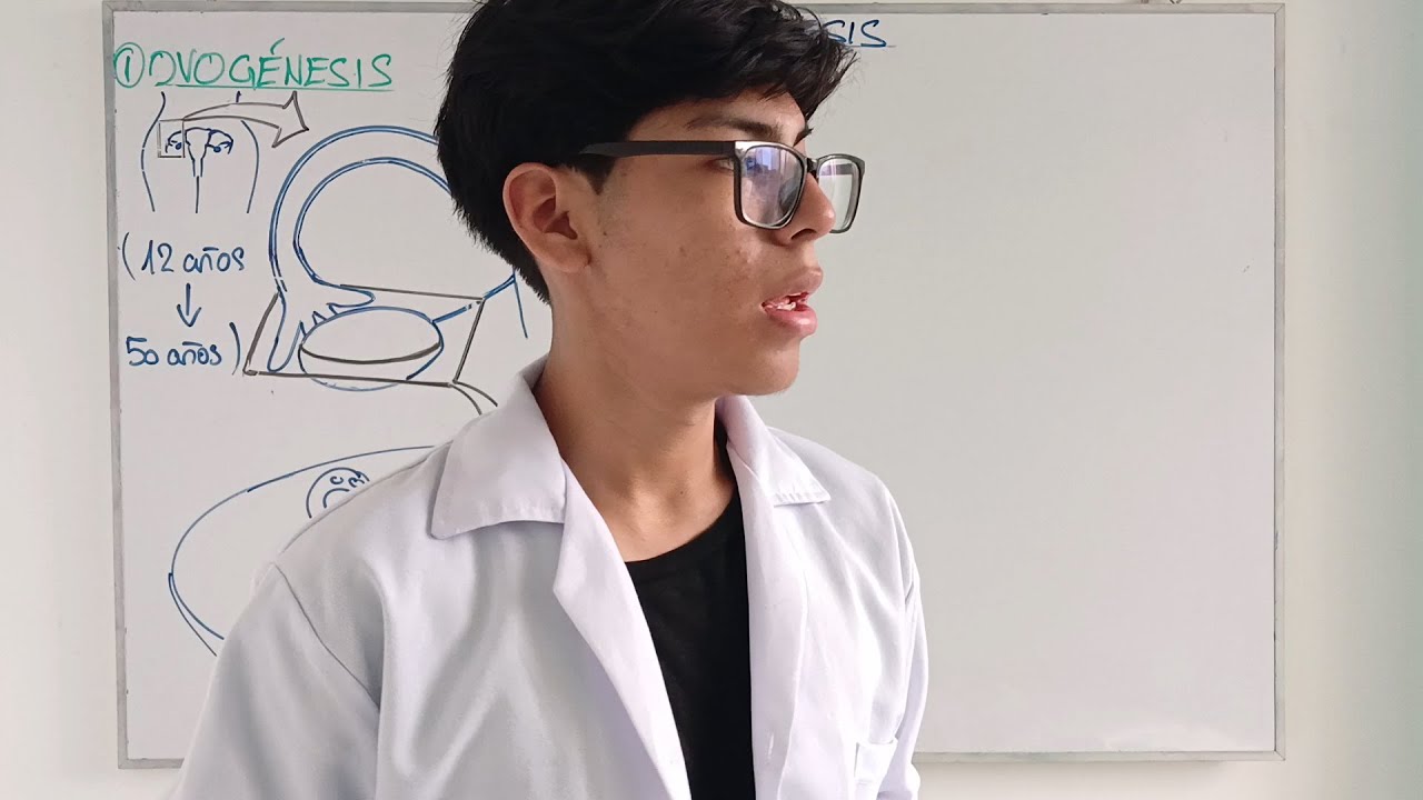 🧬LAS MUJERES NO PRODUCEN ÓVULOS - BIOLOGÍA DEL DESARROLLO 🧬