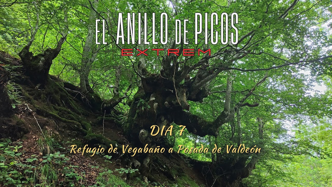 EL ANILLO DE PICOS EXTREM. DIA 7 - Refugio de Vegabaño a Posada de Valdeón. Capítulo 7/7.