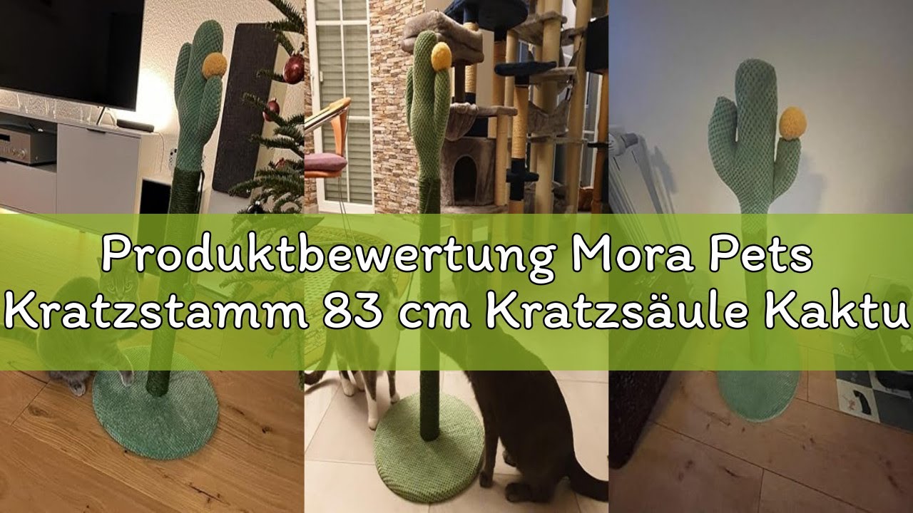 Produktbewertung Mora Pets Kratzstamm 83 cm Kratzsäule Kaktus Kratzbaum Klein Kratz Kaktus für Katze