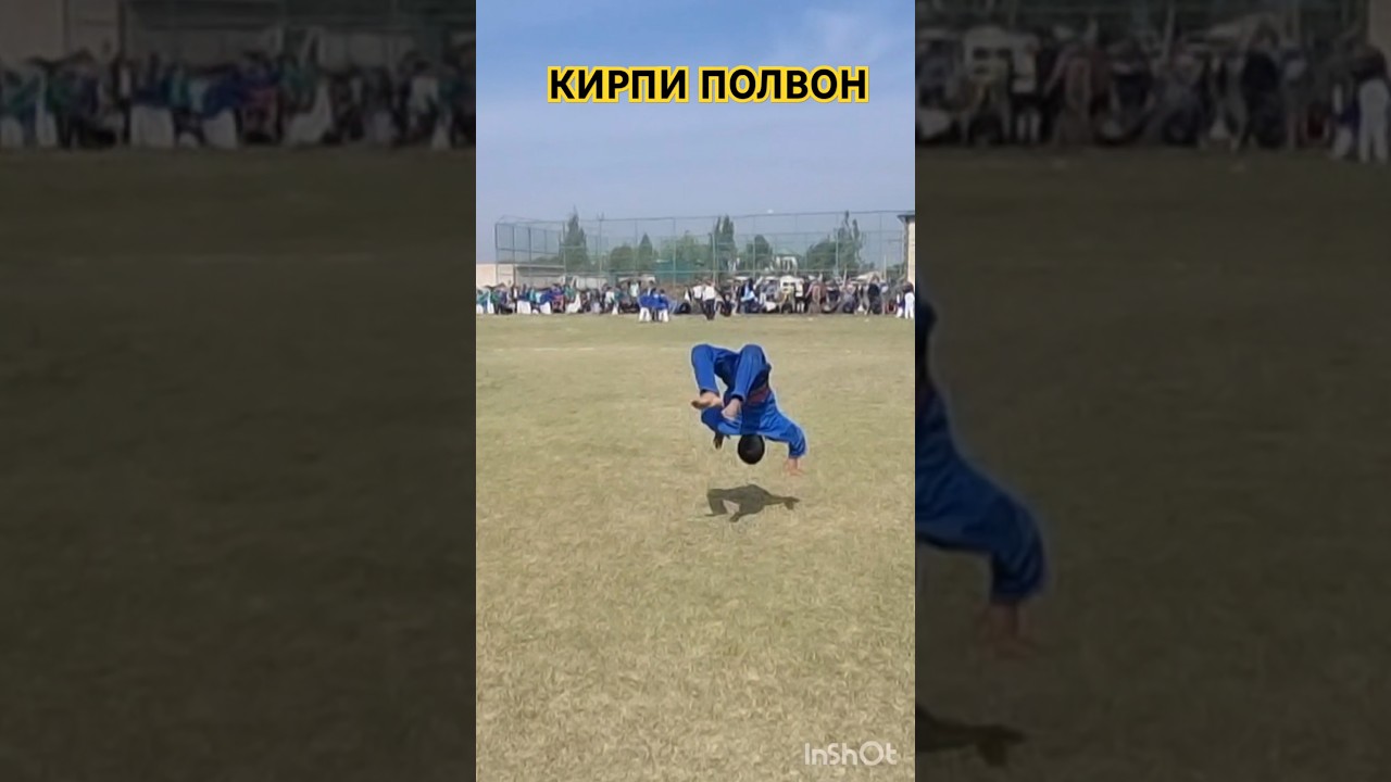 КИРПИ ПОЛВОН МУЗРАБОТДА #рекомендация