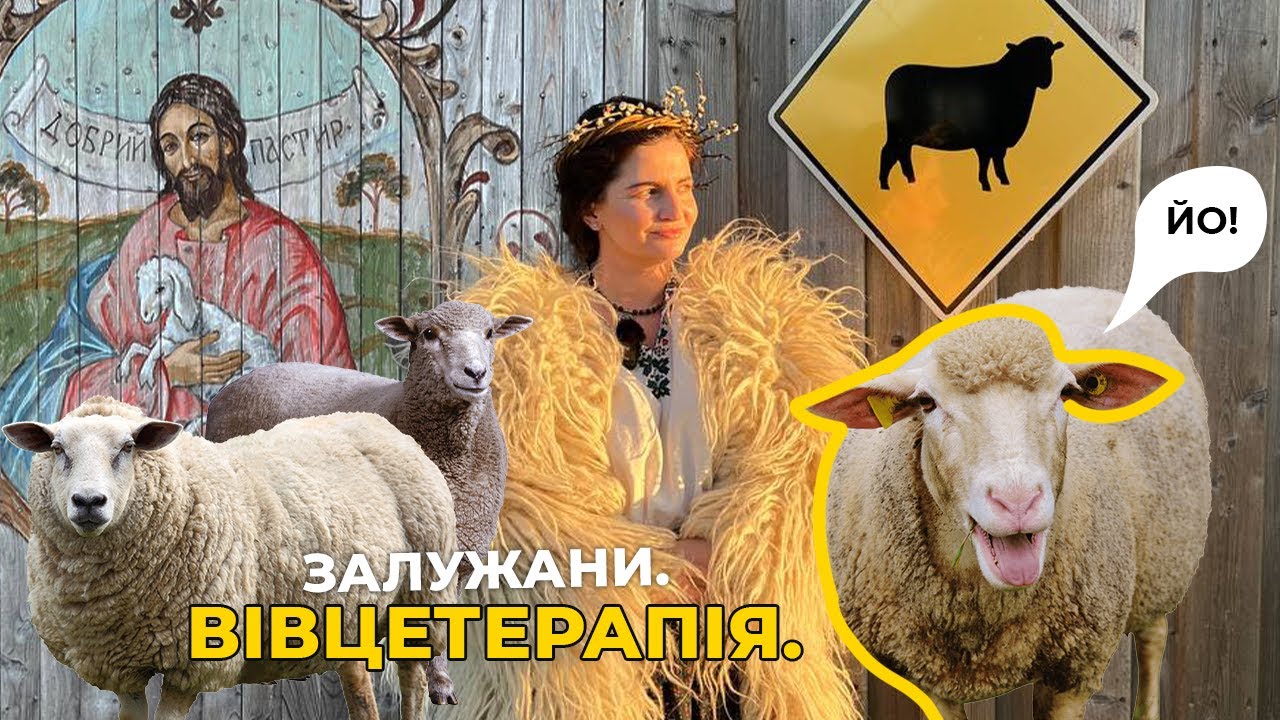 Де відпочити неподалік Львова і  з вівцями сфоткатись ?)
