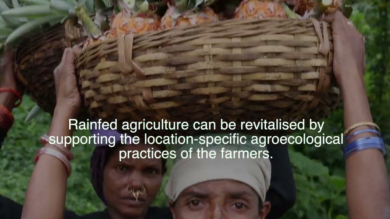 Rainfed Agriculture - An Introduction