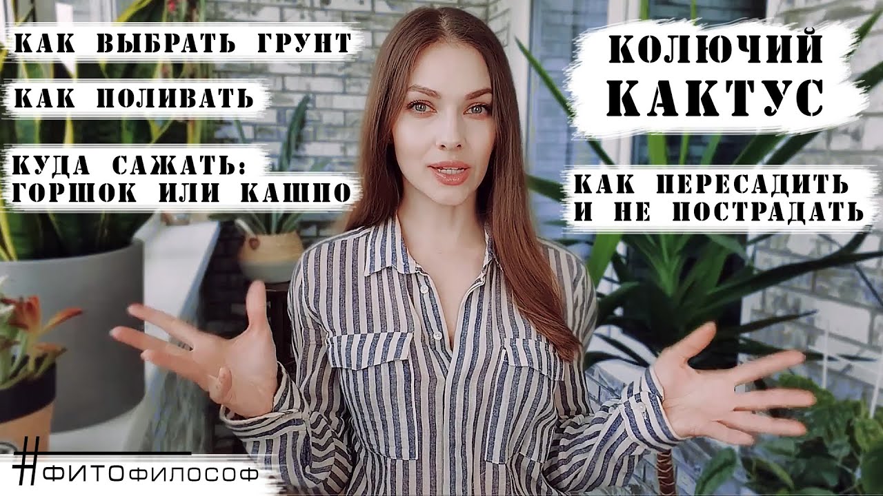 Правила пересадки КАКТУСА. Как не уколоться и какой грунт выбрать