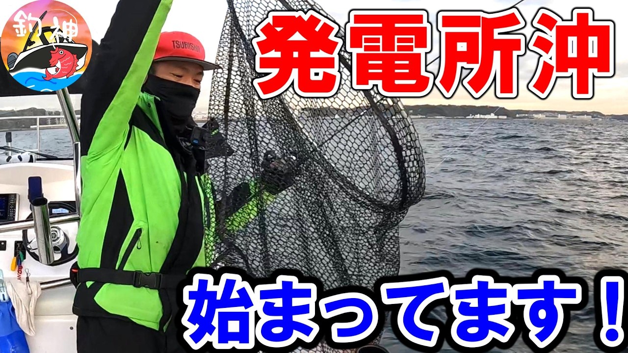 【東京湾】乗っ込みシーズン今年は早いみたいです！