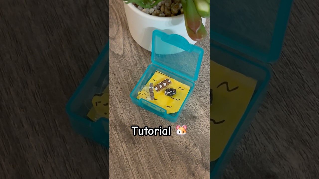 Hamster pocket box tutorial #hamster #tutorial #DIY #papercraft #artsandcrafts #pets #cute #foryou