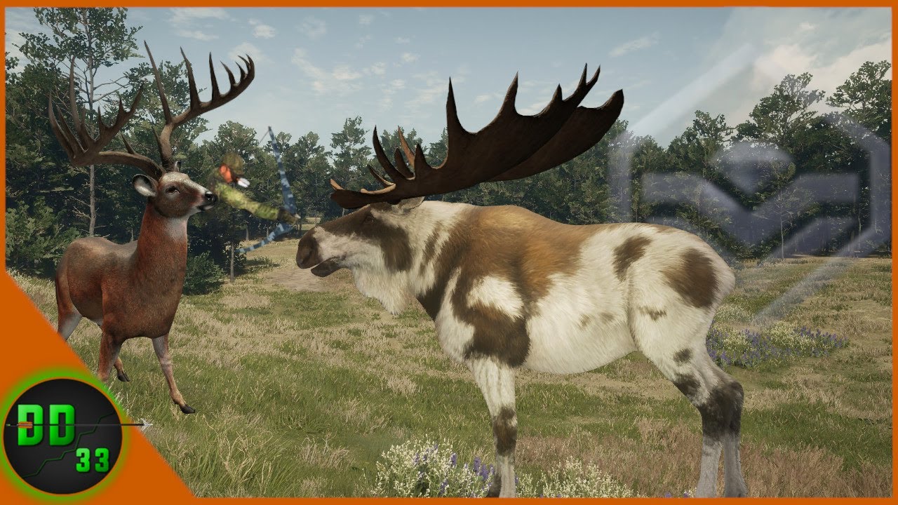 The Bow Hunting Double Of A Lifetime! Call Of The Wild
