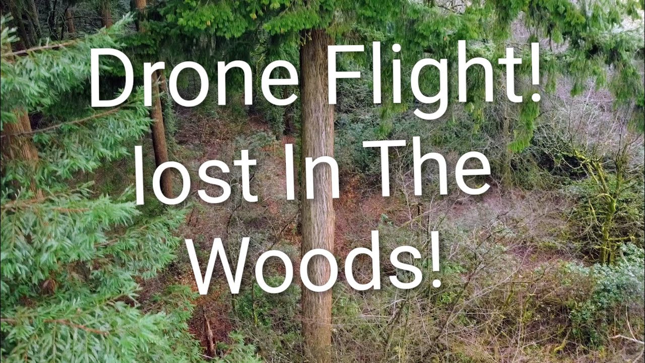 Drone Flight - Getting Lost In The Woods! #drone 