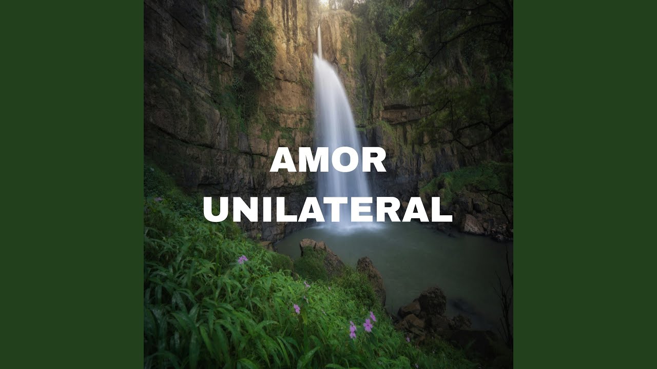 Amor Unilateral