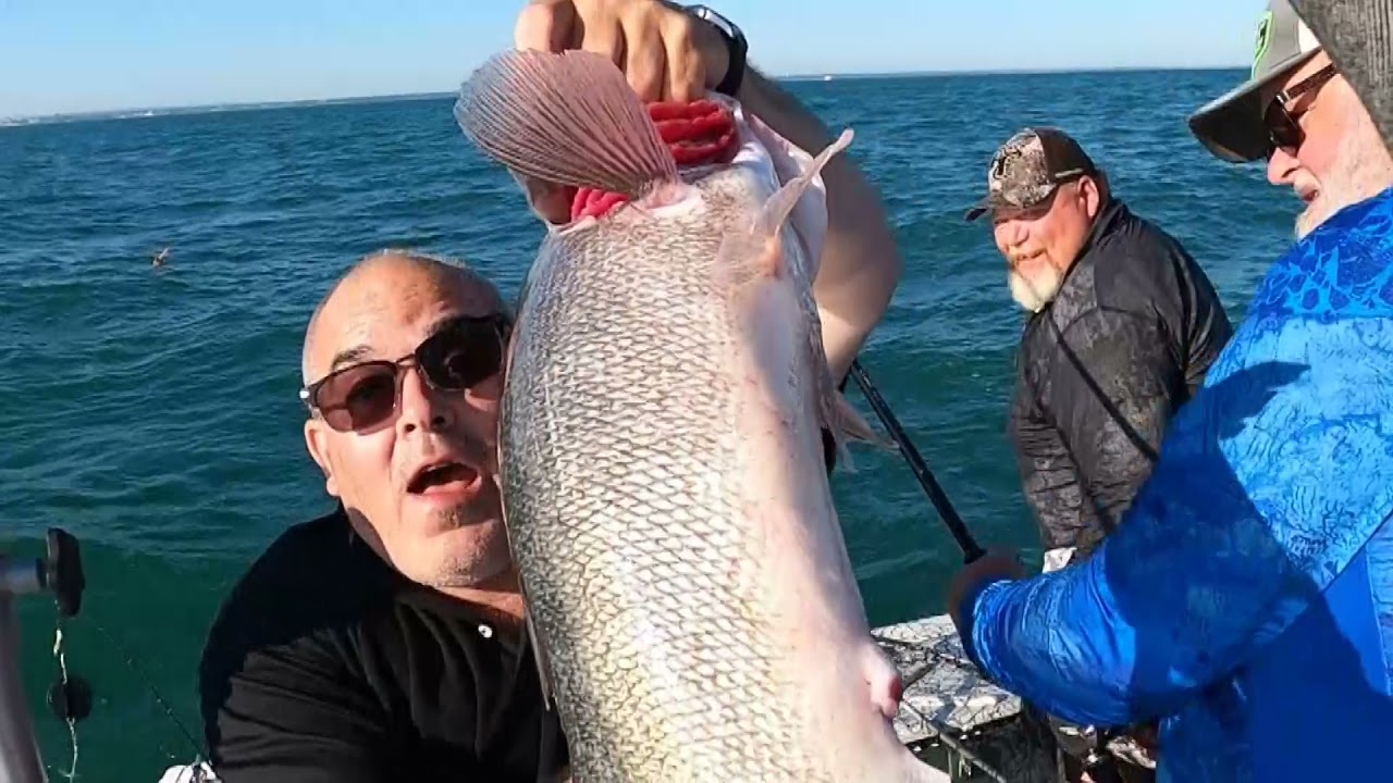 2021 FISHCRAZY LAKE ERIE WALLEYE DERBY LAST DAY