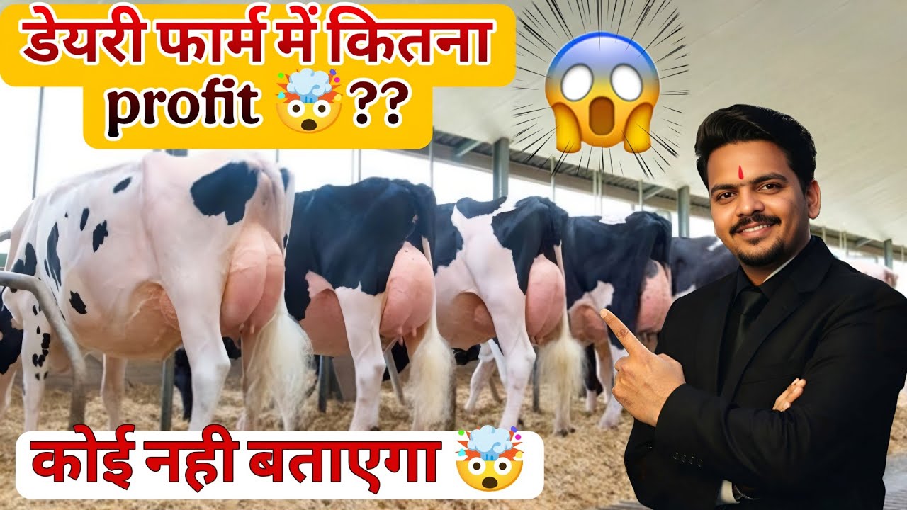  10-12 भैंस से ₹1.5 लाख महीना? डेयरी फार्म की असली सच्चाई🐄
