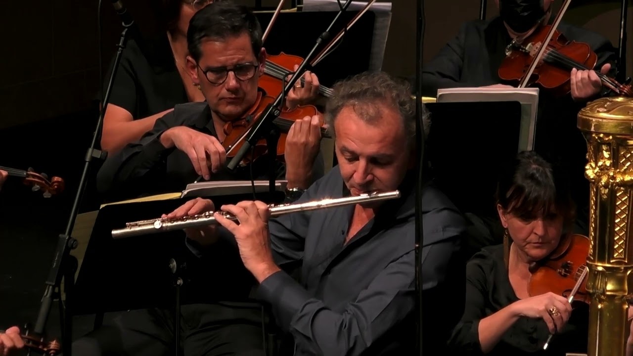PETITGIRARD - Dilemme pour flûte, harpe et orchestre à cordes - Ferrandis - Langlamet - Petitgirard