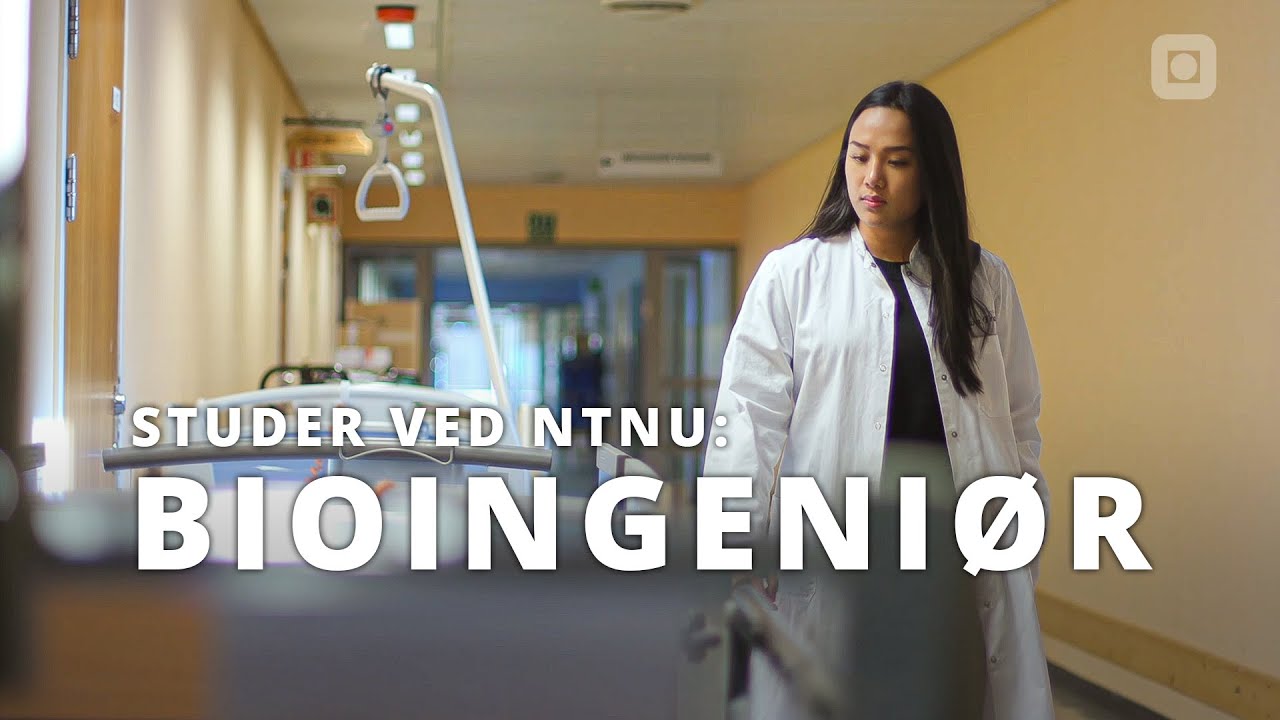 Studer bioingeniørfag | NTNU i Ålesund