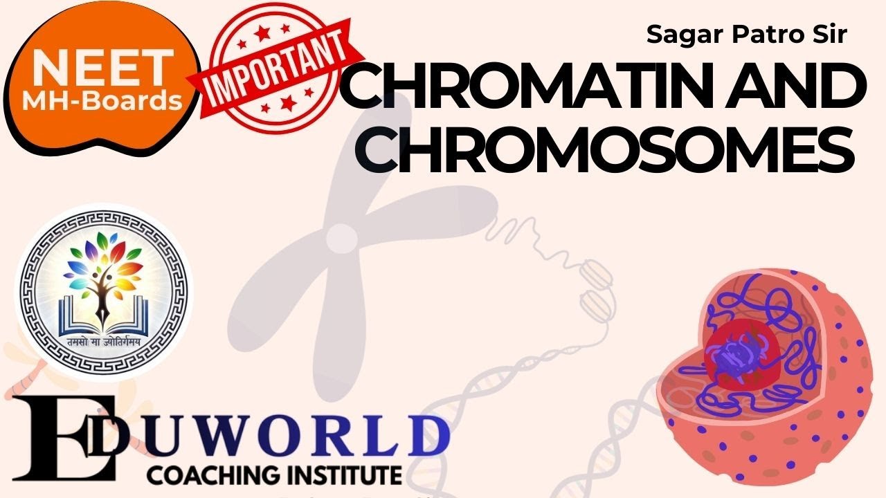 Chromatin and chromosomes | Genetics and Inheritance | FOUNDATION TOPIC | Sagar Patro Sir | EDUWORLD