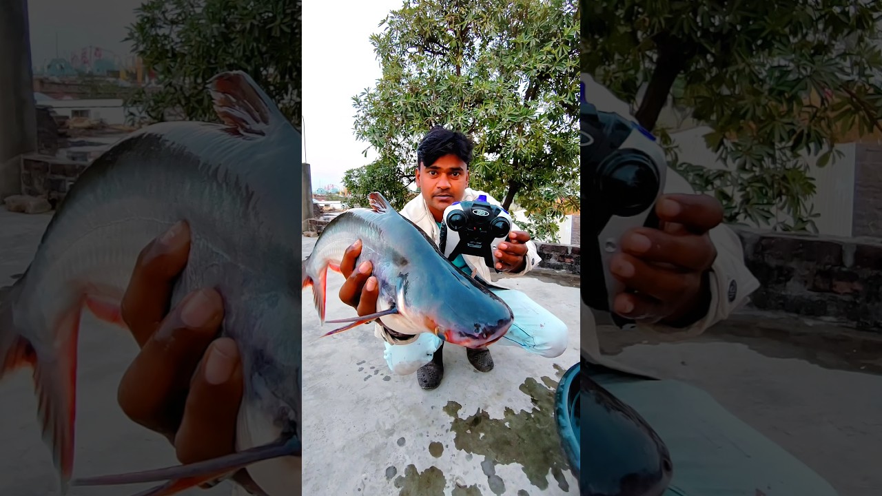 RC fish original  unboxing and testing #shorts #funny #fish