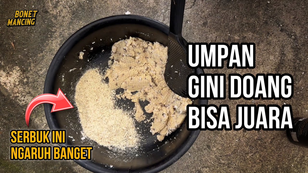 Lapak Nanggung Tapi Bisa Juara Induk Terbanyak