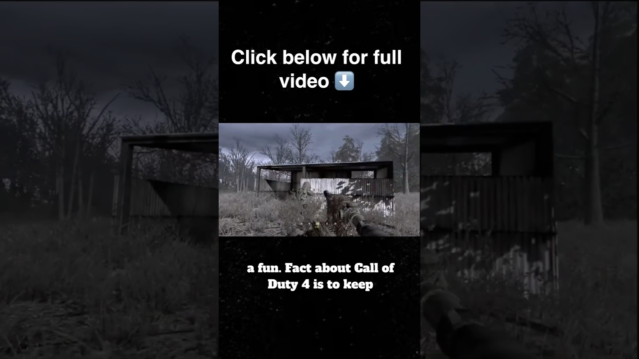 The Marines Helped Make This Game 