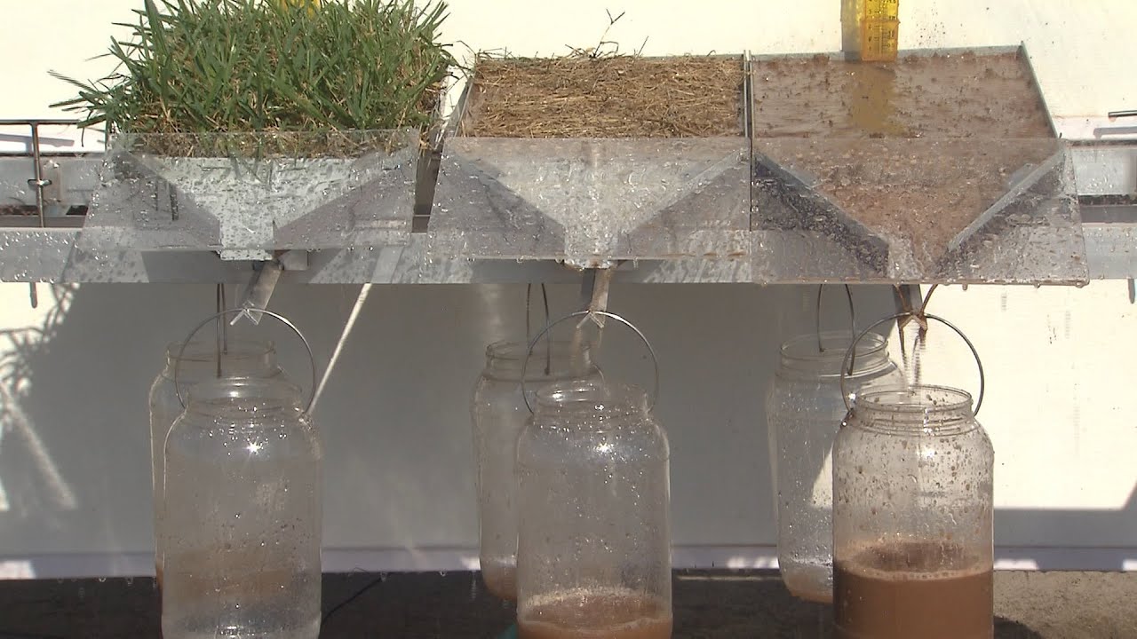 Ground Cover and Water Infiltration