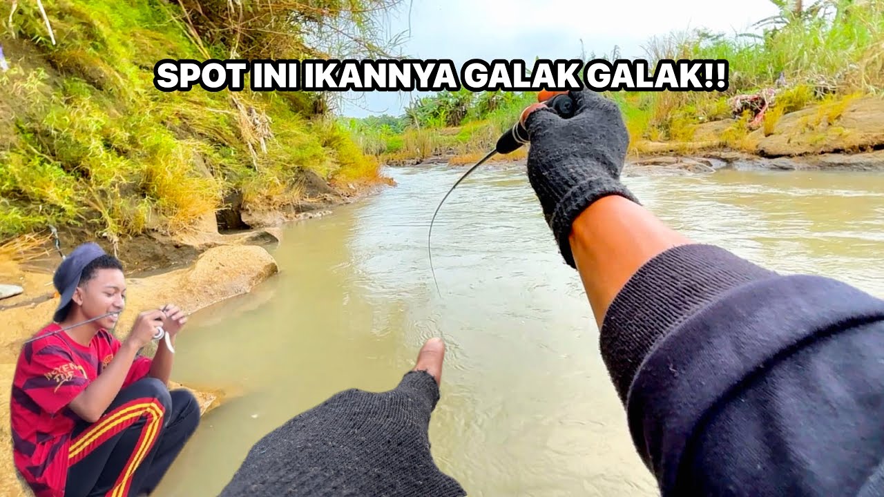 SPOT TERSEMBUNYI IKANNYA MENGERIKAN!! Mancing Nilem Dengan Teknik Nutul Menggunakan Tegek Micro