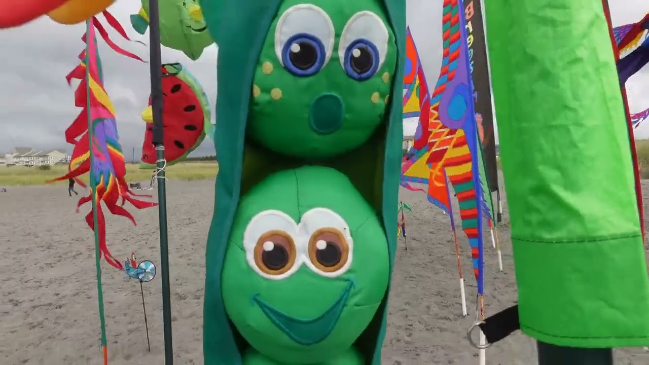 Kites, Long Beach, Summer 21