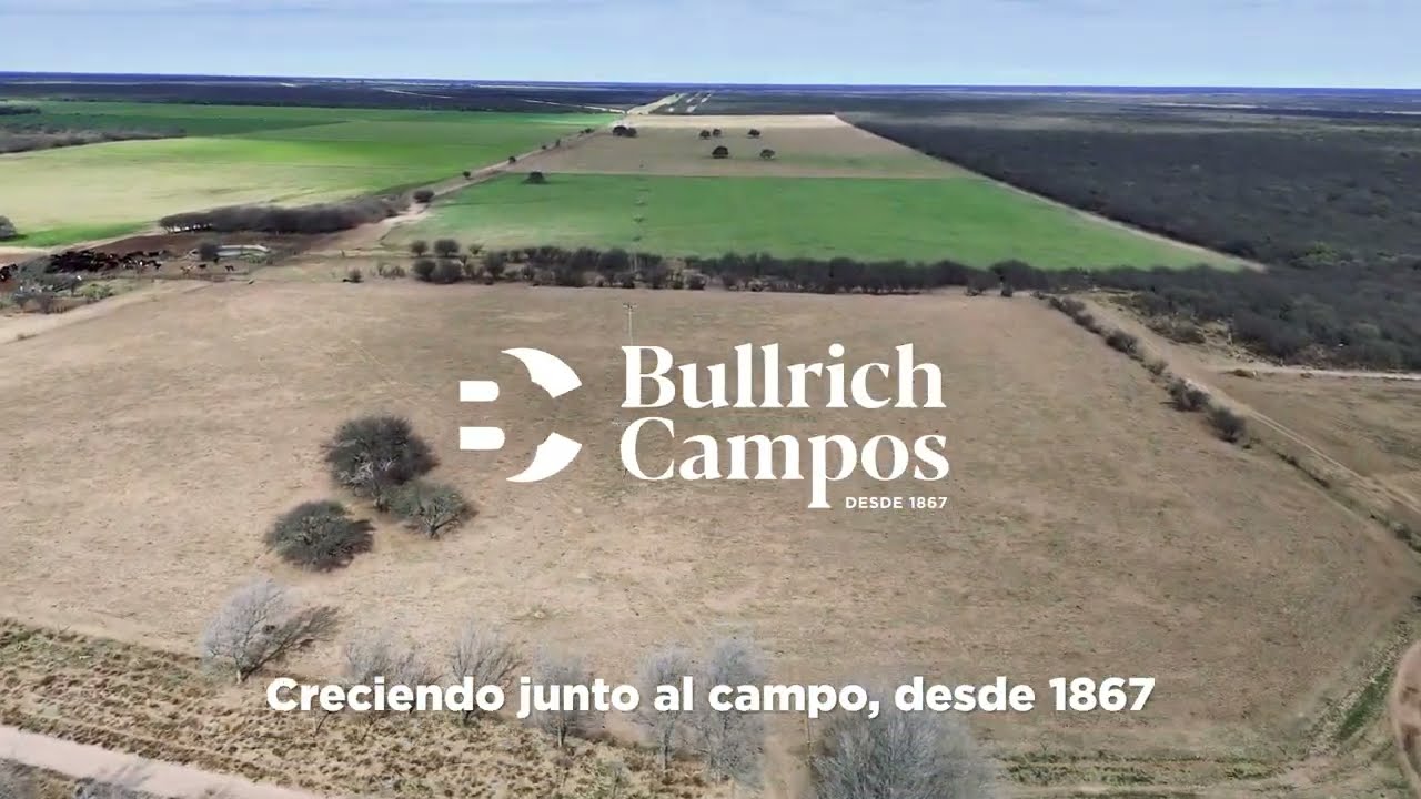 Campo Ganadero - 4.140 ha - Fortuna, San Luis