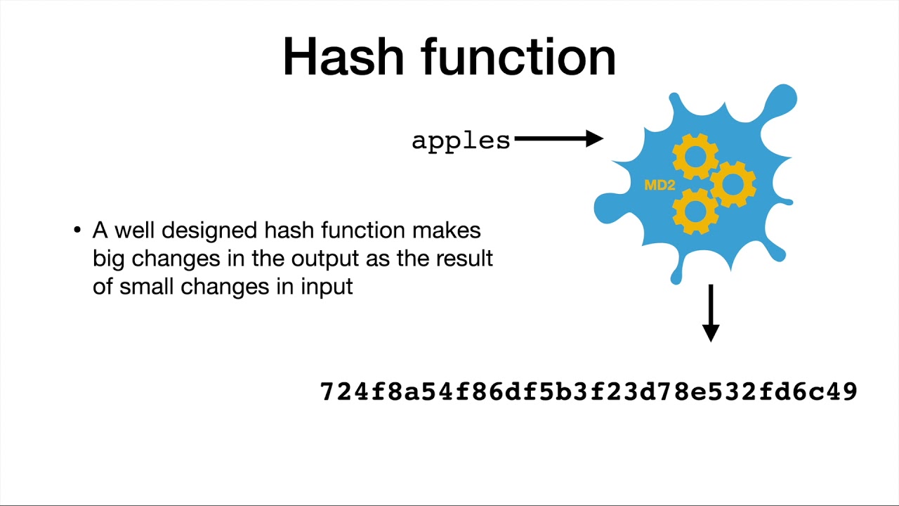 Password Hashing & Security