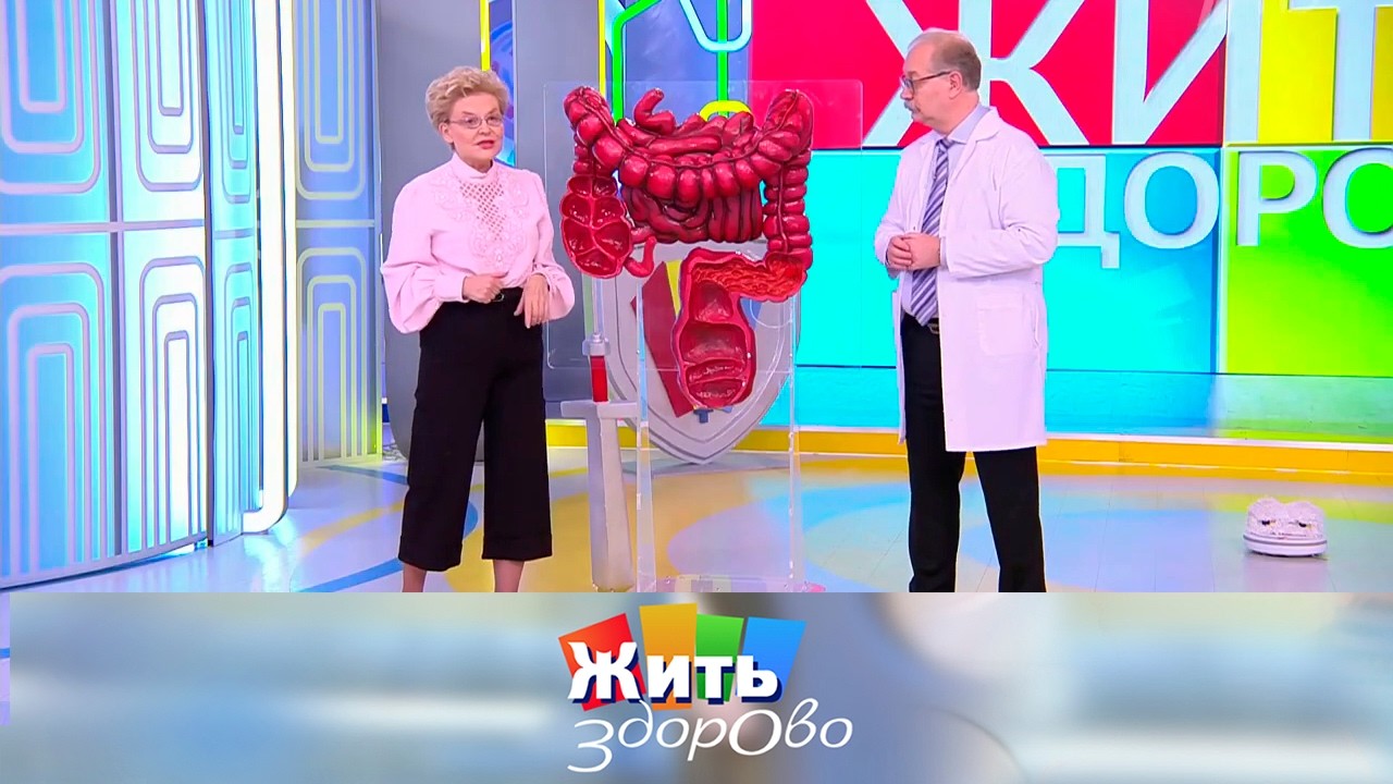 Почему слизистая кишечника — это иммунный орган? 08.12.2023