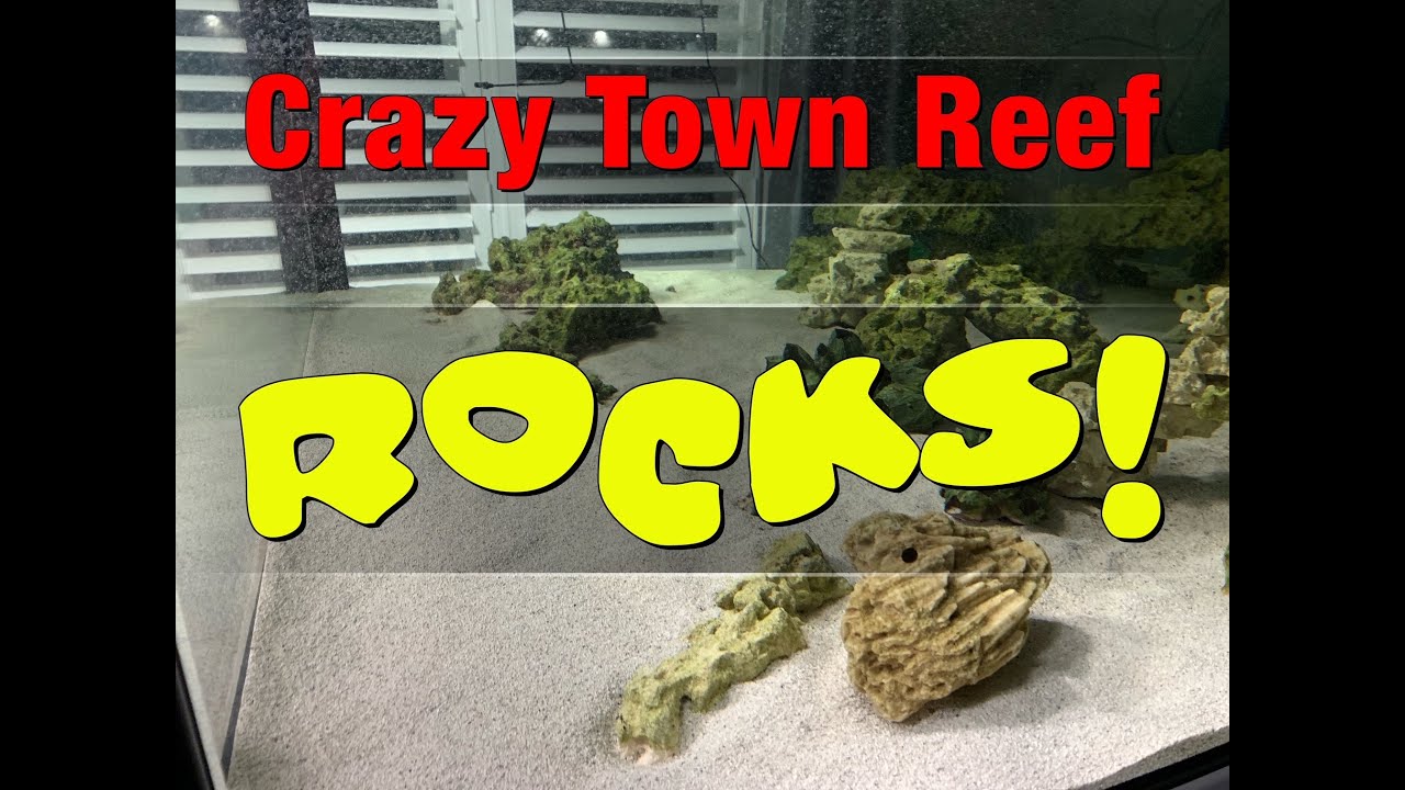 Crazy Town Reef ROCKS! A couple of FAILS but we got there in the end...🌊🌊🌊