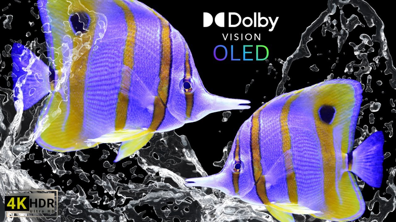 4K OLED TV TEST | Underwater Paradise | Dolby Vision 60FPS HDR