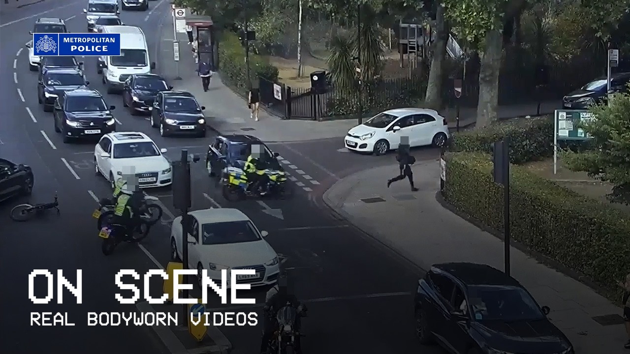 Вор выбросил шесть украденных телефонов в пруд во время полицейской погони | На месте событий: на...
