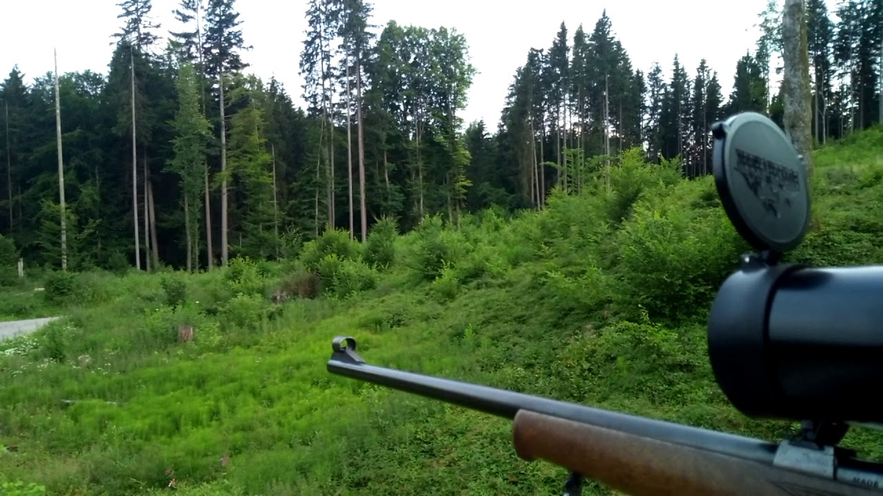 Jagen im Wald - Jagdpraxis - Jagen und Schie&szlig;en