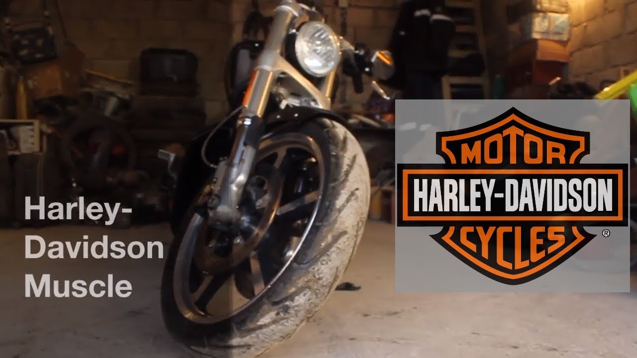 Обзор Harley-Davidson V-Rod Muscle
