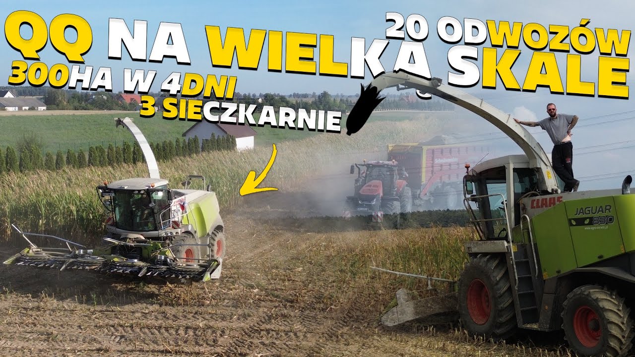 Największy Opor na Podlasiu 🔥 Zbiór qq  3 Sieczkarnie 300ha w 4 Dni 🔥 GR Banach Ur Rogowski 🔥