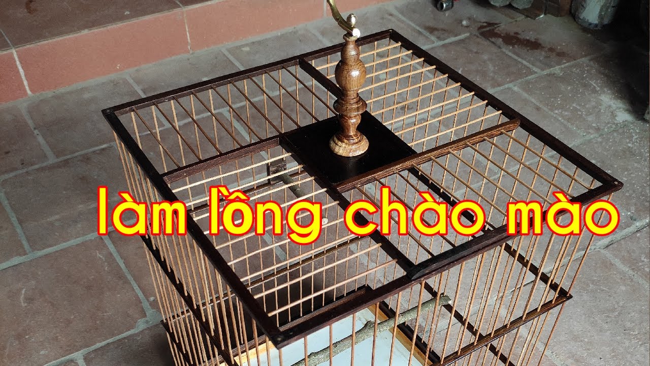 cách làm lồng chào mào đơn giản mà đẹp