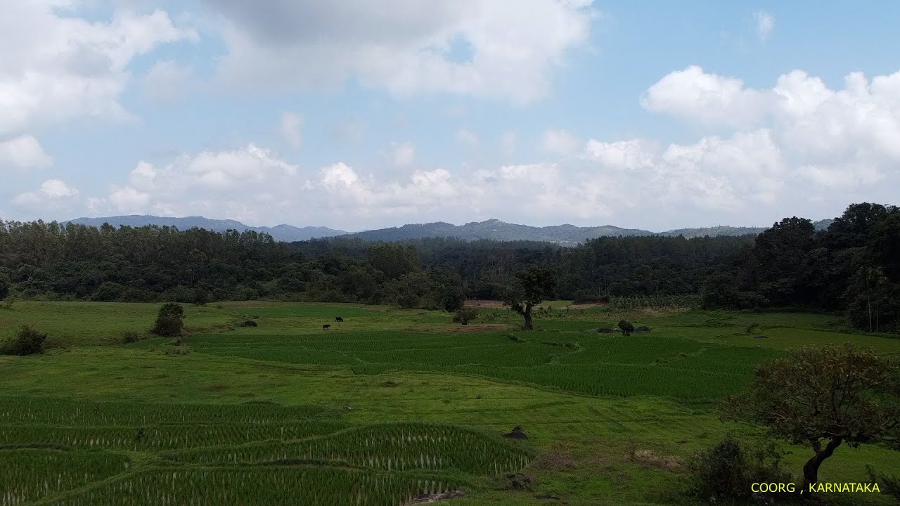 COORG DRONE SHOTS - PART 4