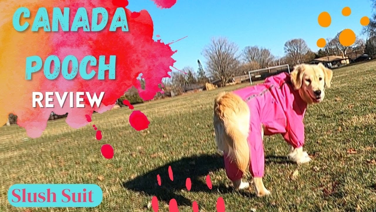 Canada Pooch Slush Suit Review