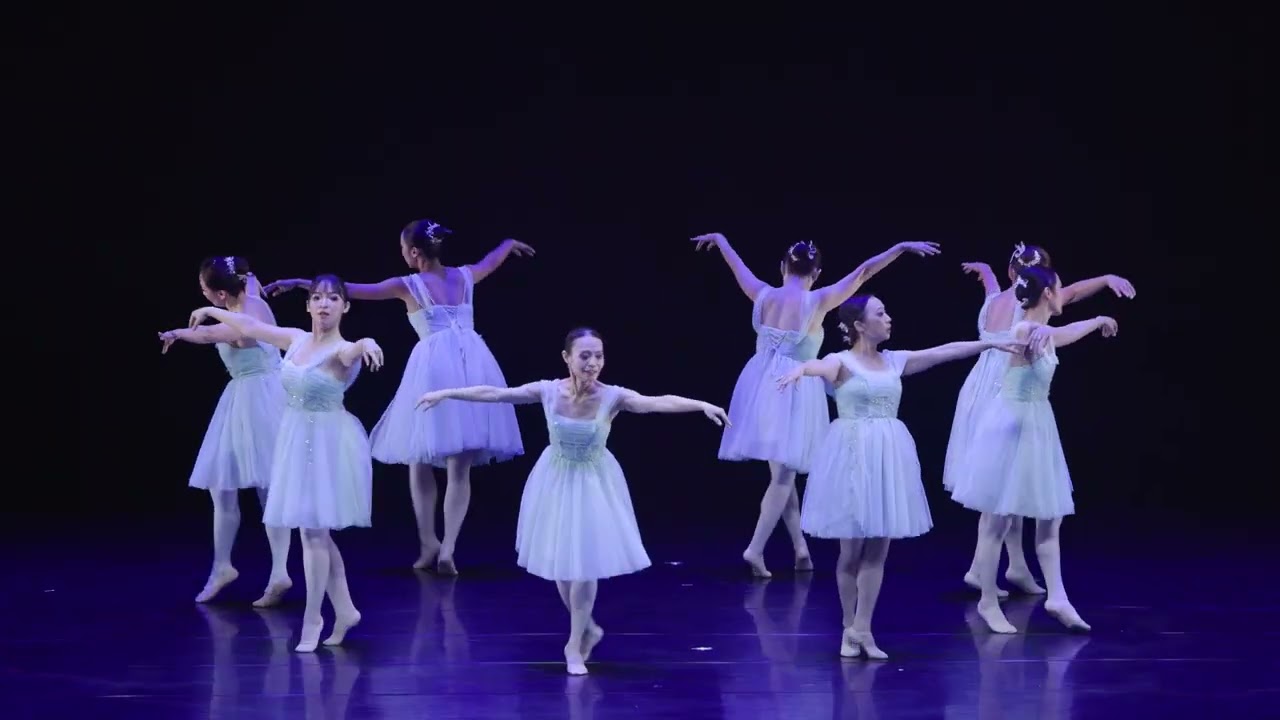 20251012-Waltz of Flower