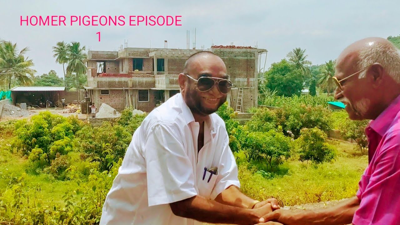introduction about homer Pigeons with Salem Chandran and his collections by trichy shaik