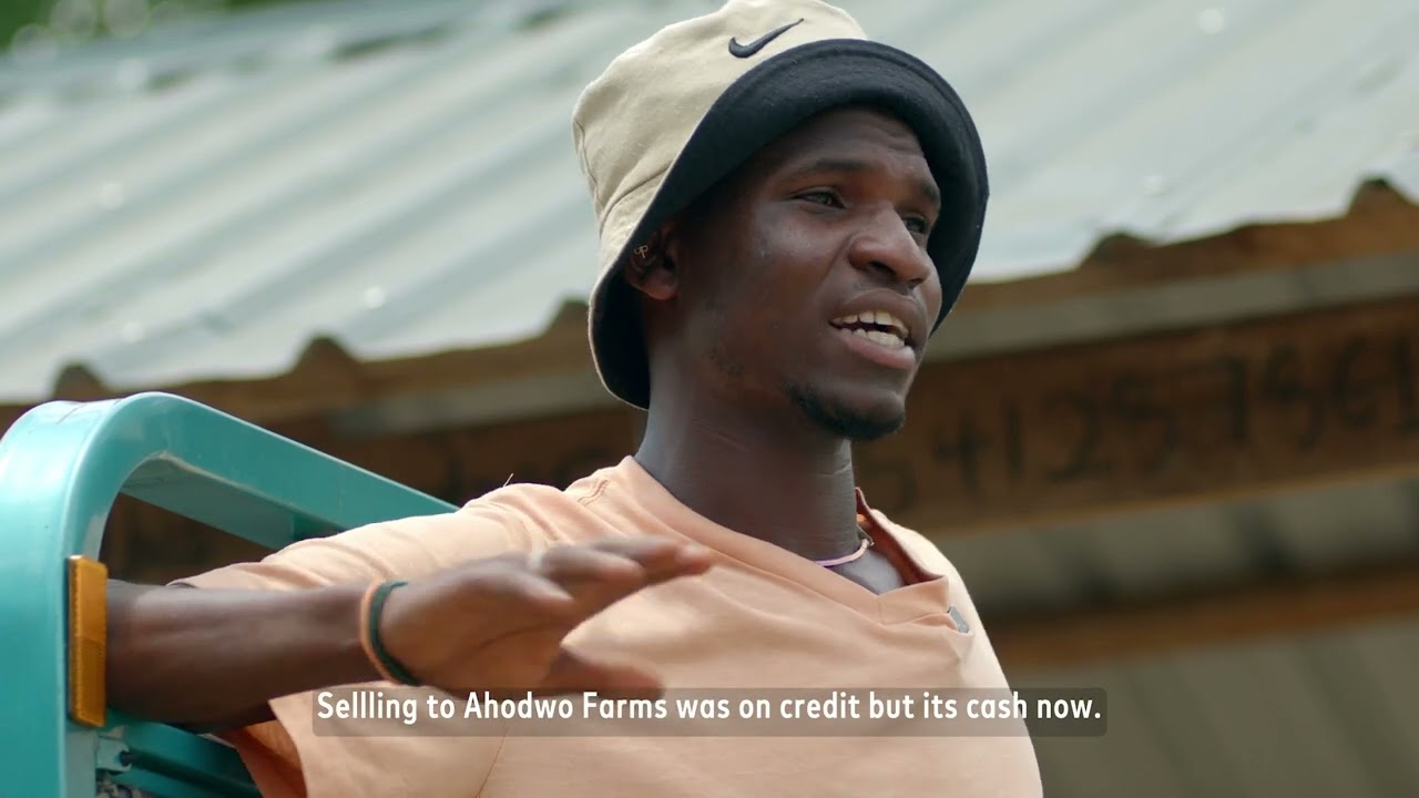 Unlocking opportunities for young people through BRIDGE-in Agriculture