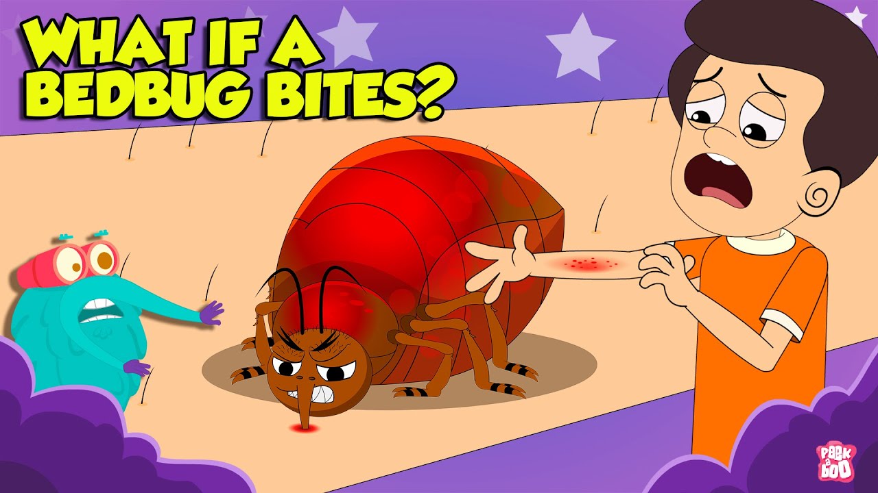 How Bed Bugs Bite? | Bed Bugs How to Get Rid of Them | Deadliest Insects | The Dr. Binocs Show