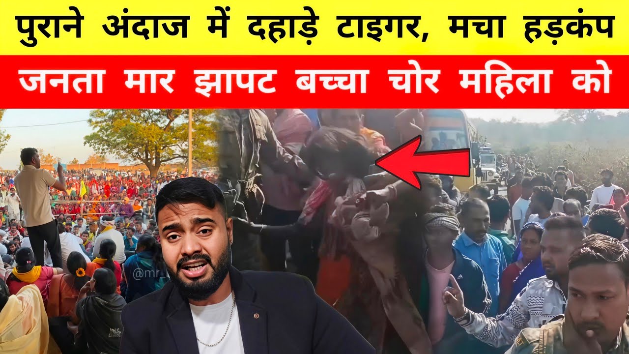 टाइगर की दहाड़ से हड़कंप || जनता मार झापट बच्चा चोर को || Mr Bittu 