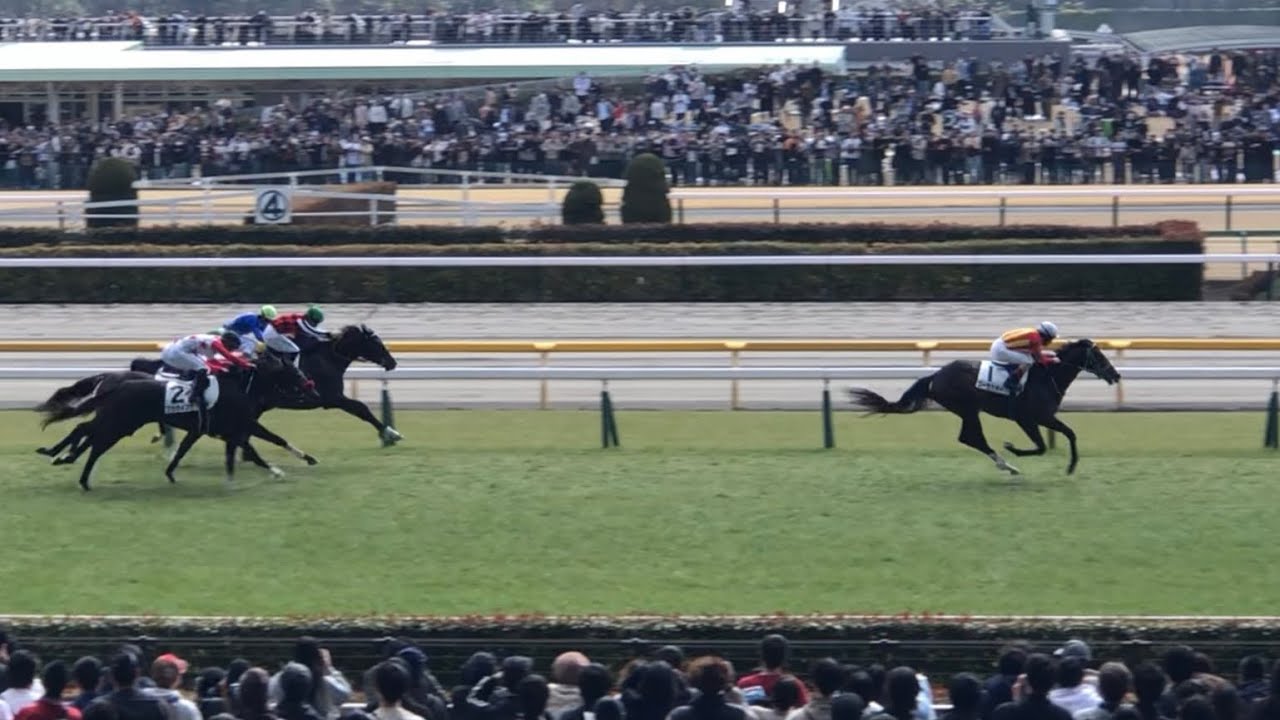 【現地】ゴーラッキー C.ルメール 3歳1勝C