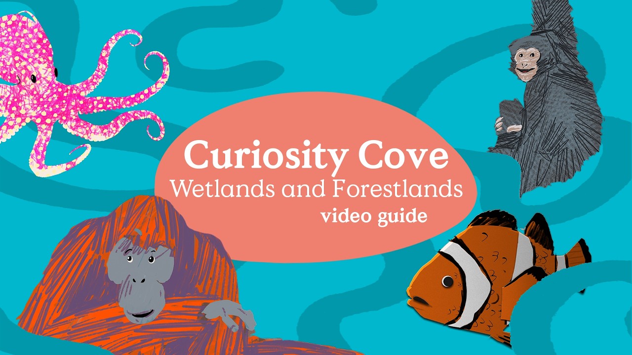 Video Guide: Curiosity Cove – Wetlands and Forestland