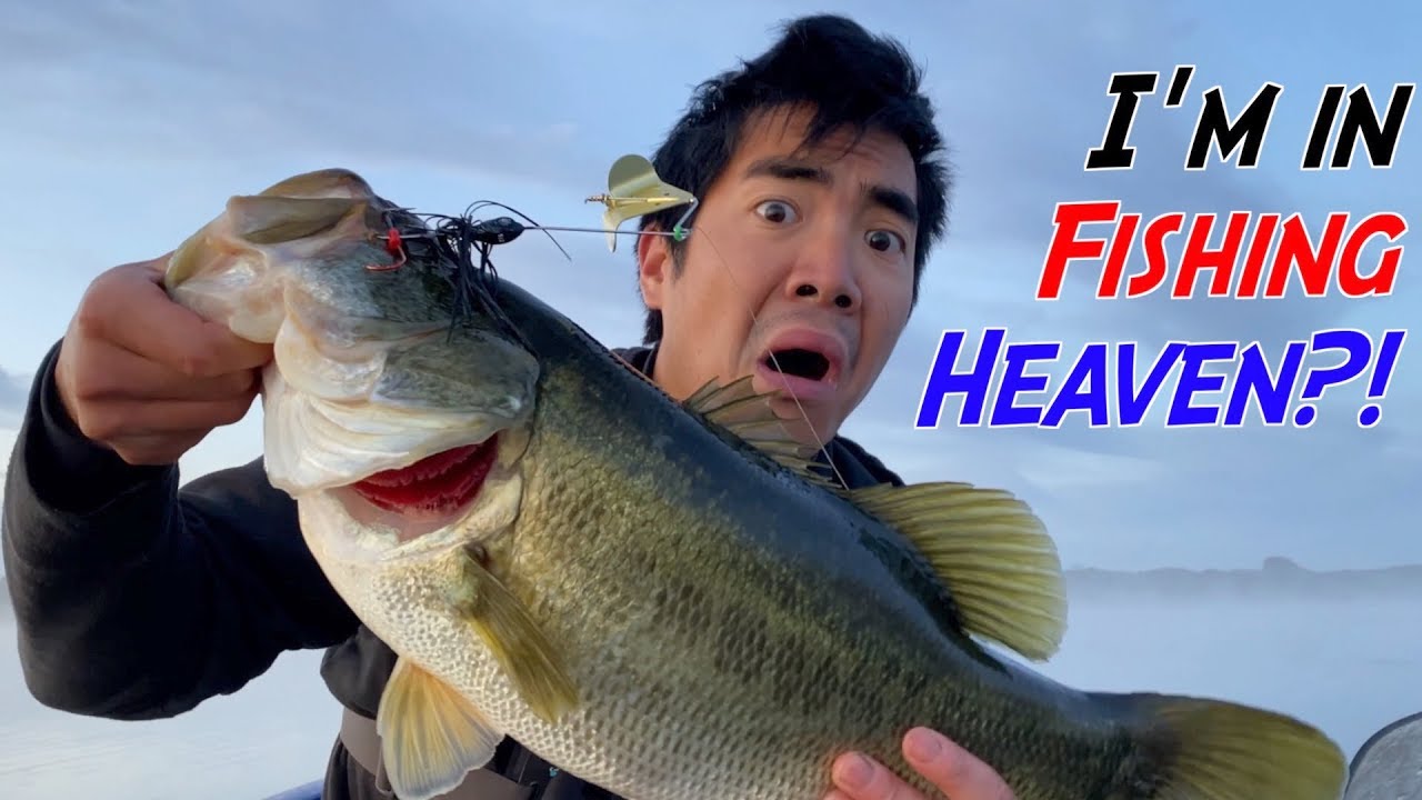 THIS LAKE IS A FISHERMAN'S DREAM!!! (MONSTER BASS EVERYWHERE)