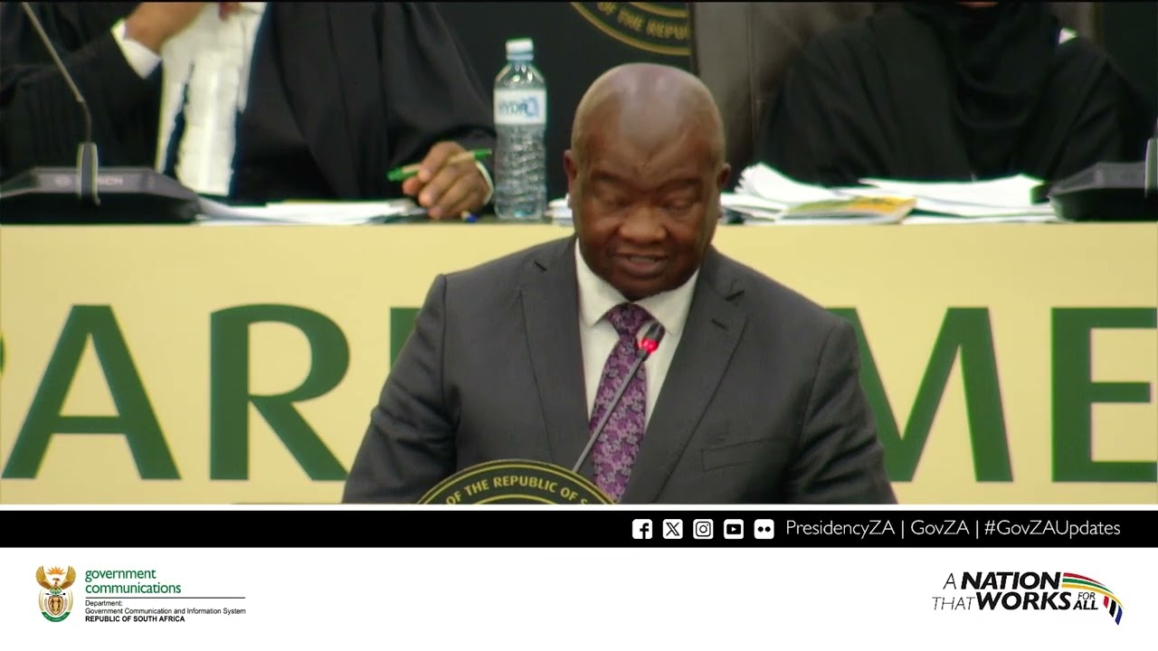 Bantu Holomisa   Deputy Minister of Defence