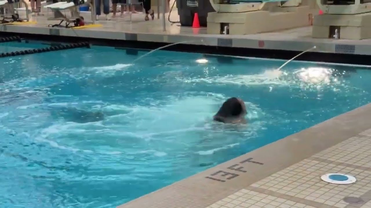 Lansing Herald TV GotW: Haslett vs Holt Swim 01 08 26