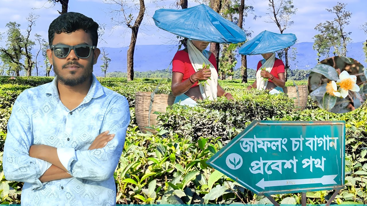  Jaflong Tea Garden | সিলেটের পাহাড় ও চা বাগানের মনোমুগ্ধকর সৌন্দর্য 🌿 Sylhet Travel Vlog
