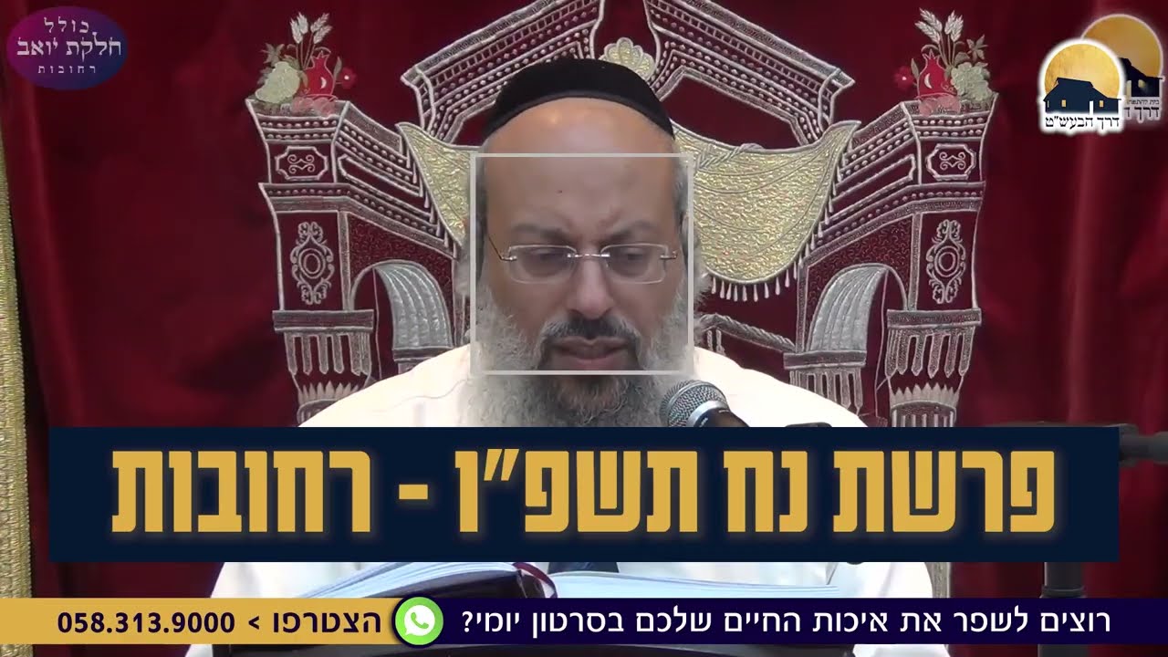 פרשת נח | צדיק… אבל נורמלי? | אמונה או עצלות בתחפושת ᴴᴰ